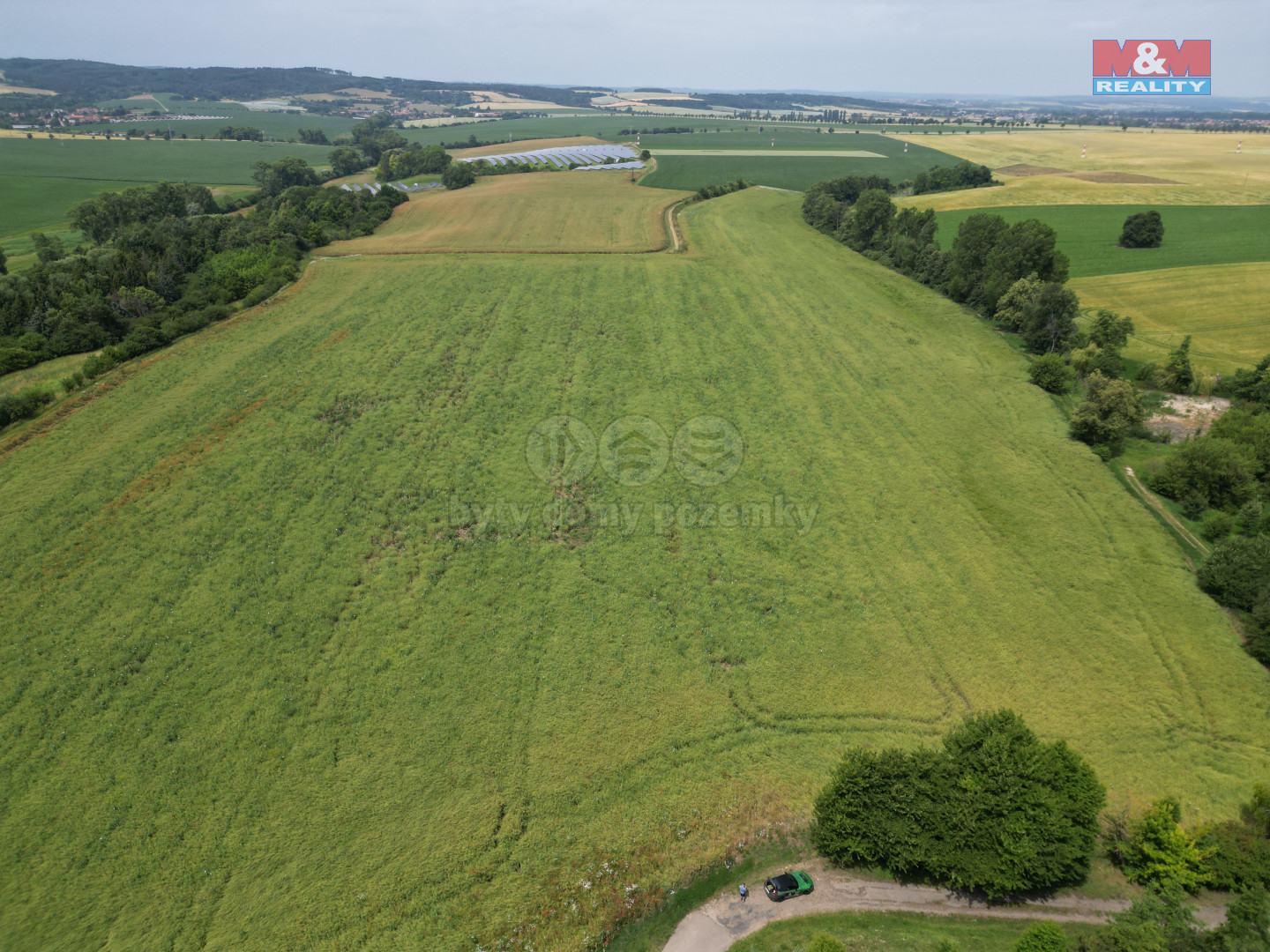 DJI_0565.jpg