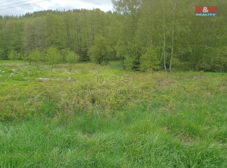 IMG-20250605-WA0037.jpg | Prodej - pozemek, trvalý travní porost, 6 962 m²