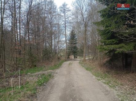 IMG-20250605-WA0022.jpg | Prodej - pozemek, trvalý travní porost, 6 962 m²