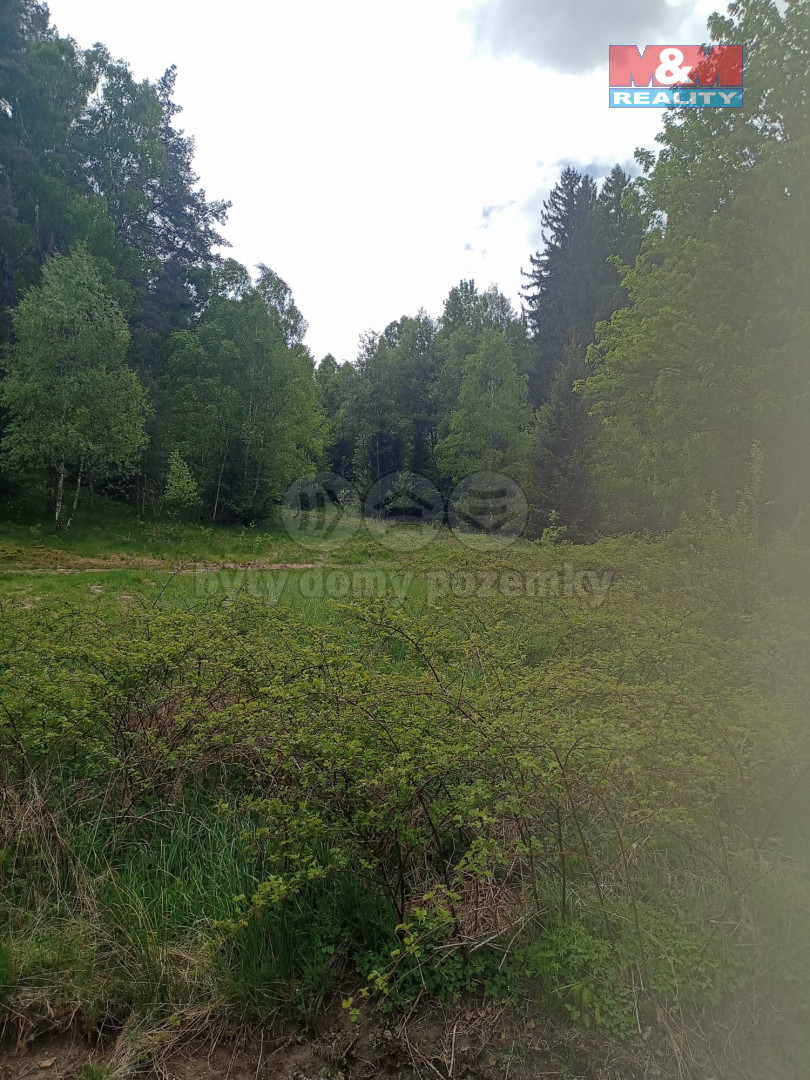 IMG-20250605-WA0036-1.jpg