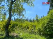 Prodej - pozemek, les, 15 167 m²