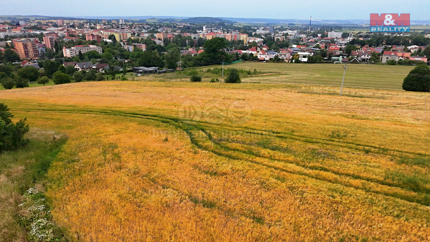 DJI_20250623124802_0002_D.jpg