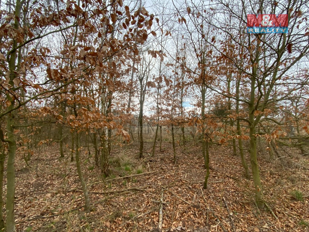 IMG_5839.jpg