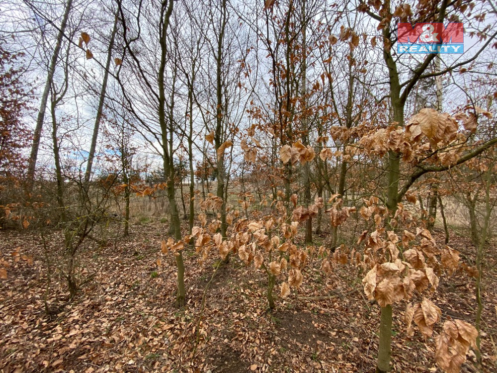IMG_5853.jpg