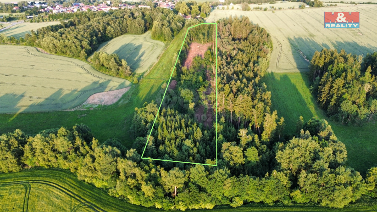 dji_fly_20250621_023456_128_1750923612179_photo_optimized.jpg