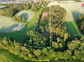Prodej - pozemek, les, 17 153 m²