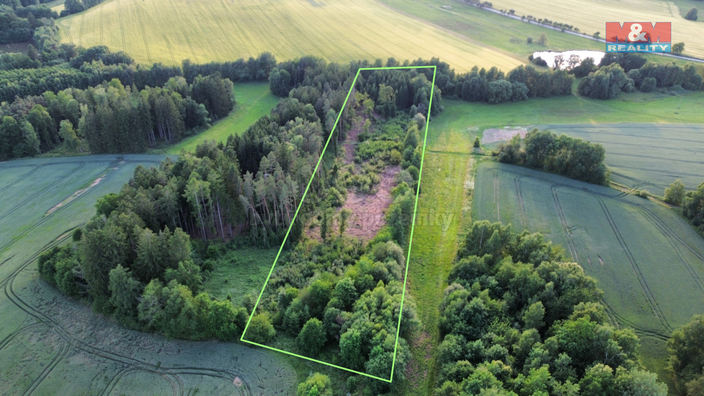 dji_fly_20250621_023106_123_1750923626470_photo_optimized.jpg