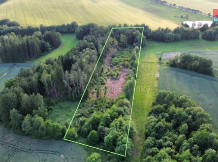 dji_fly_20250621_023106_123_1750923626470_photo_optimized.jpg | Prodej - pozemek, les, 17 153 m²
