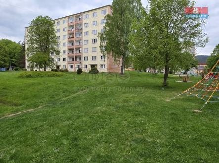 20250507_164315.jpg | Pronájem bytu, 2+1, 55 m²