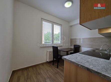 20250507_163314.jpg | Pronájem bytu, 2+1, 55 m²