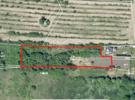 IMG_7230.jpeg | Prodej - pozemek, zahrada, 2 311 m²