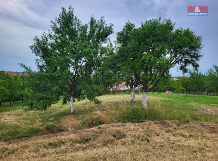 WhatsApp Image 2025-06-28 at 09.44.54.jpeg | Prodej - pozemek, zahrada, 600 m²