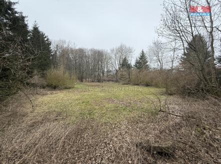 IMG_8806.jpg | Prodej - pozemek, ostatní, 5 965 m²