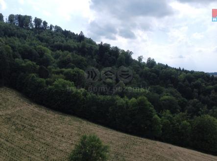 dji_fly_20250704_154746_597_1751636901296_photo_optimized.jpg | Prodej - pozemek, les, 164 841 m²