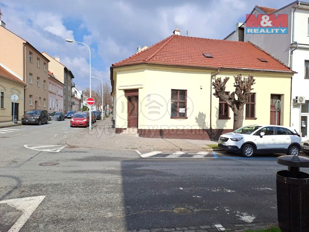 Wittner 2.jpg