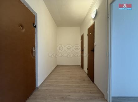 IMG_2695.jpeg | Pronájem bytu, 1+1, 39 m²
