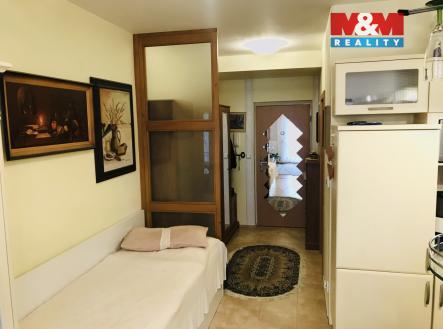 IMG_7416.jpg | Pronájem bytu, 1+kk, 46 m²