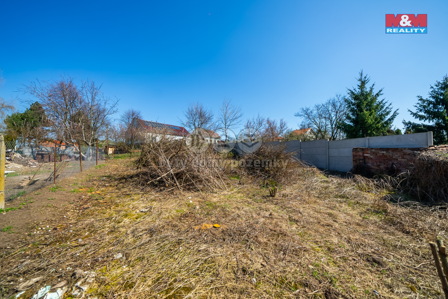 d2eeb630-3081-439a-a14d-92c1e9601ea7.jpg