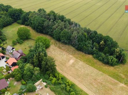 Pohled na pozemek | Prodej - pozemek pro bydlení, 4 973 m²