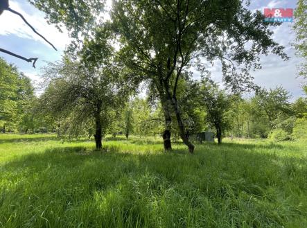 IMG_8682.jpg | Prodej - pozemek, zahrada, 1 999 m²