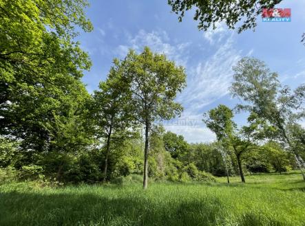IMG_8680.jpg | Prodej - pozemek, zahrada, 1 999 m²