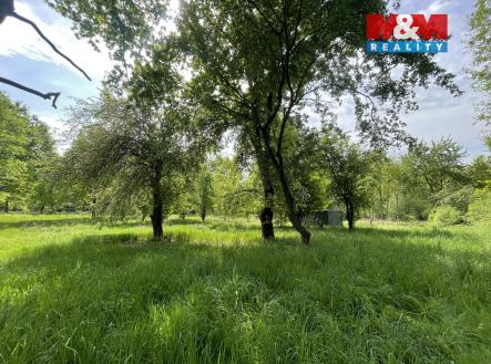 IMG_8682.jpg | Prodej - pozemek, zahrada, 1 999 m²