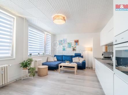 d1a365fc-cd0d-441b-807f-472787b29a1b.jpg | Pronájem bytu, 1+kk, 33 m²
