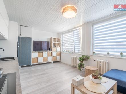119e358a-a267-4ed2-bbdf-a283d1fc57e1.jpg | Pronájem bytu, 1+kk, 33 m²