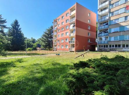 Pohled na dům | Prodej bytu, 1+kk, 19 m²