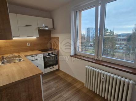 67794e28-4192-49bb-94ae-f0578180ebea.jpg | Pronájem bytu, 1+1, 38 m²