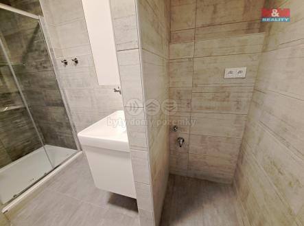 20250703_154621.jpg | Pronájem bytu, 2+1, 52 m²