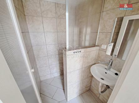 20250703_163610.jpg | Pronájem bytu, 1+kk, 20 m²