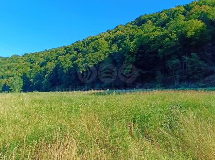 A10.jpg | Prodej - pozemek, trvalý travní porost, 1 665 m²