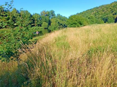 ab.jpg | Prodej - pozemek, trvalý travní porost, 1 665 m²