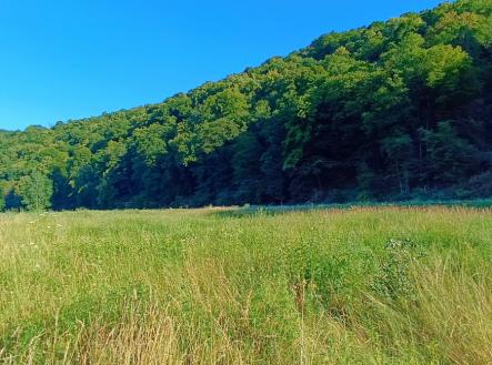 A10.jpg | Prodej - pozemek, trvalý travní porost, 1 665 m²