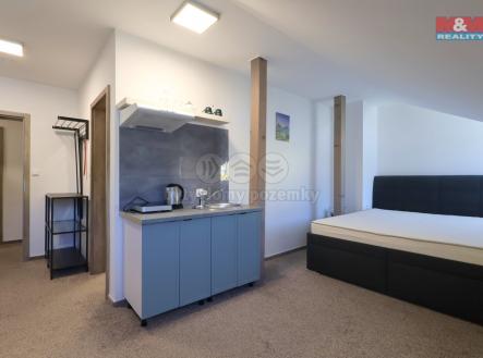 IMG_1712-1.jpg | Pronájem bytu, 1+kk, 33 m²