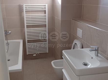 20231106_135717.jpg | Pronájem bytu, 1+kk, 27 m²