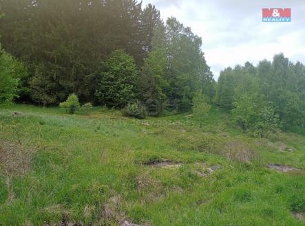 IMG-20250617-WA0011.jpg | Prodej - pozemek, trvalý travní porost, 7 967 m²