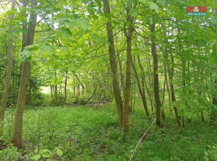 IMG-20250605-WA0038.jpg | Prodej - pozemek, trvalý travní porost, 7 967 m²