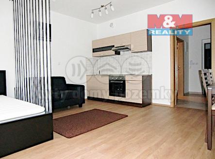 CIMG9526.jpg | Pronájem bytu, 1+kk, 34 m²