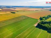 Prodej - pozemek, trvalý travní porost, 31 349 m²