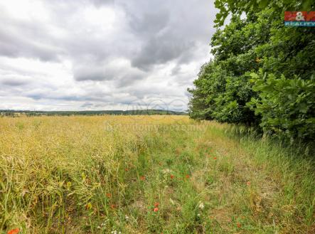 1S3A4274.jpg | Prodej - pozemek, zemědělská půda, 11 929 m²