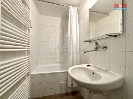 IMG_4964.jpg | Pronájem bytu, 1+1, 43 m²