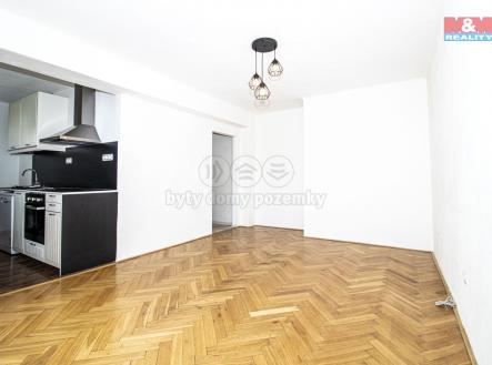 IMG_0463.jpg | Prodej bytu, 2+1, 48 m²