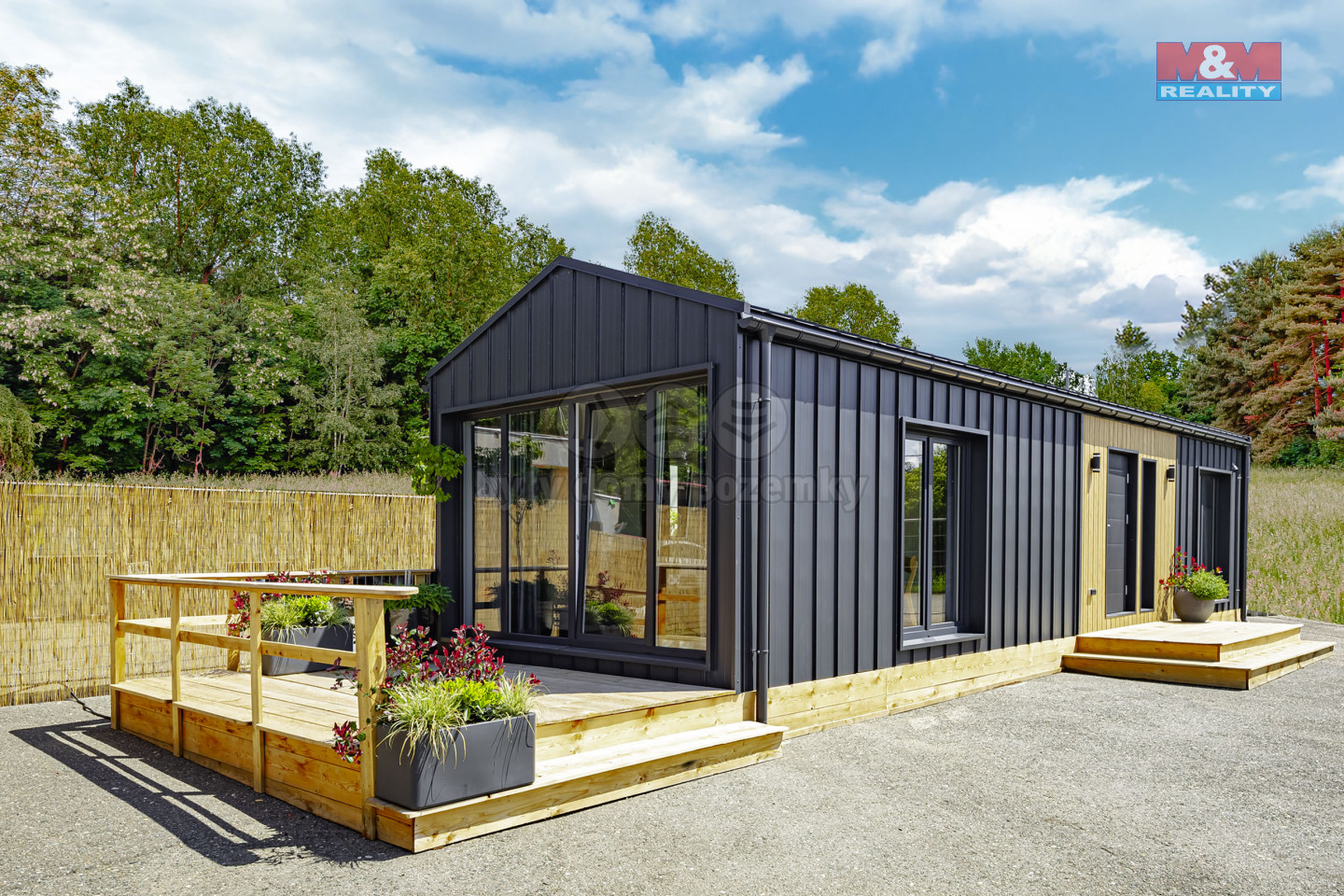 Firefly 20250603194631.jpg