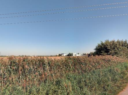 Snímek obrazovky_8-7-2025_103315_mapy.com.jpeg | Prodej - pozemek, zemědělská půda, 3 449 m²