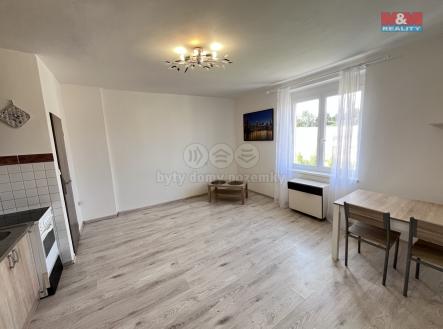 IMG_3610.jpeg | Pronájem bytu, 1+kk, 28 m²