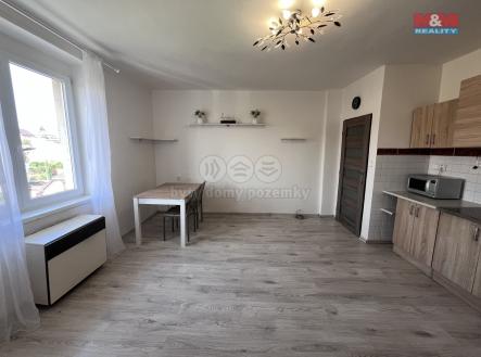 IMG_3612.jpeg | Pronájem bytu, 1+kk, 28 m²