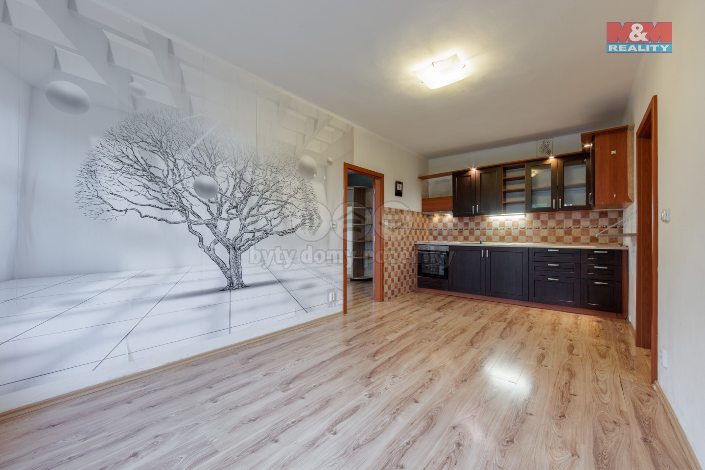 6U1A8676-HDR.jpg