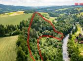 Prodej - pozemek, les, 36 610 m²